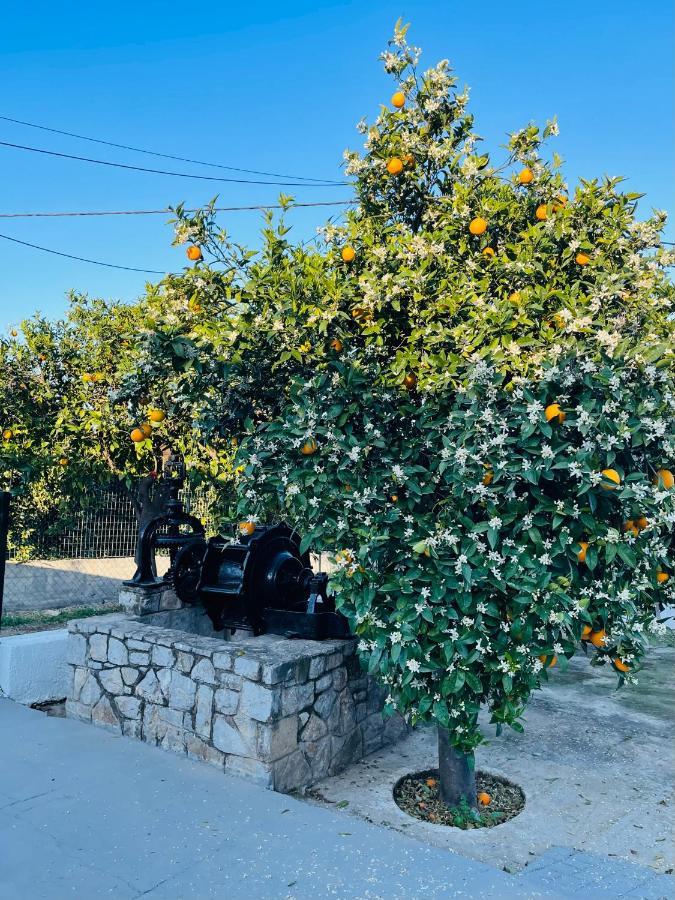 Citrus Garden Villa Epidaurus Екстериор снимка