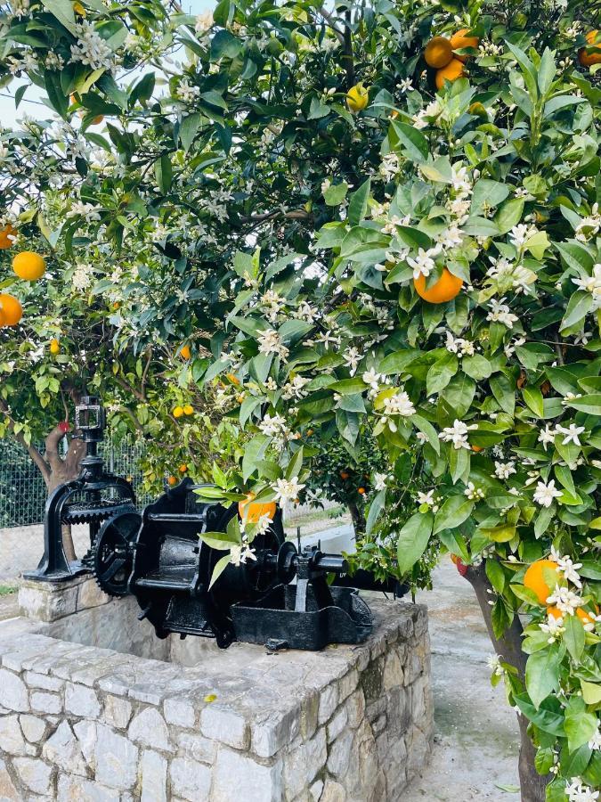 Citrus Garden Villa Epidaurus Екстериор снимка