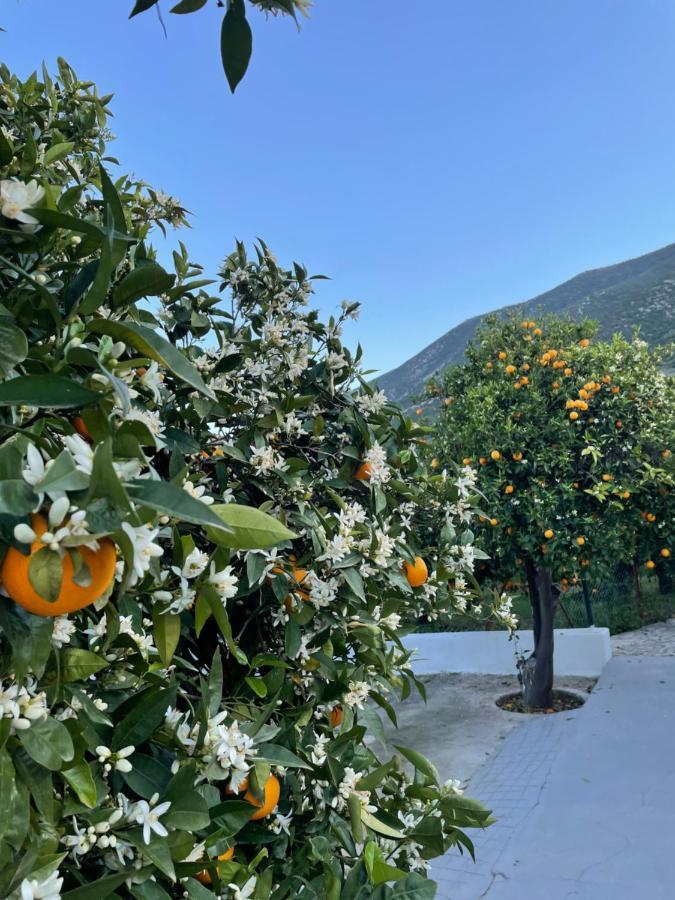 Citrus Garden Villa Epidaurus Екстериор снимка