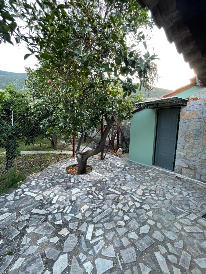 Citrus Garden Villa Epidaurus Екстериор снимка